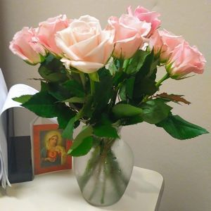 Meet your Posher, Wendy